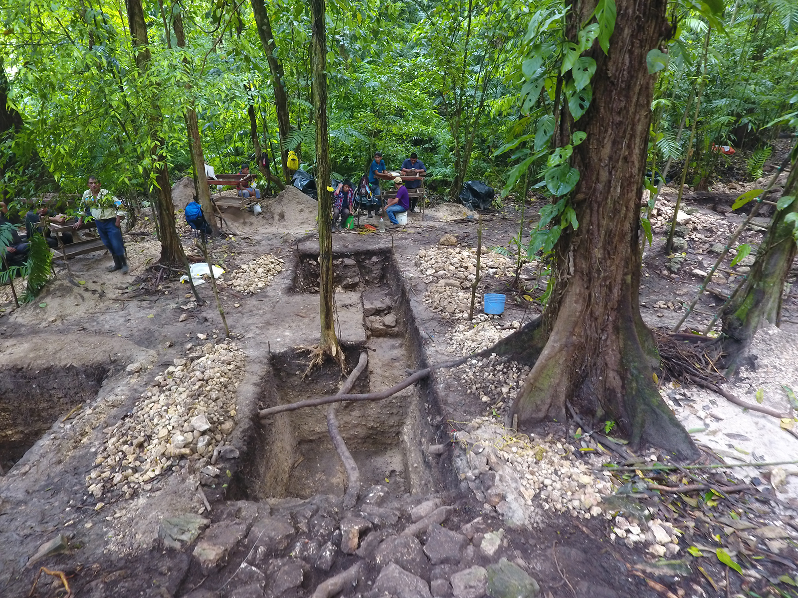 Anthropological Archaeology Track Anthropology Brown University